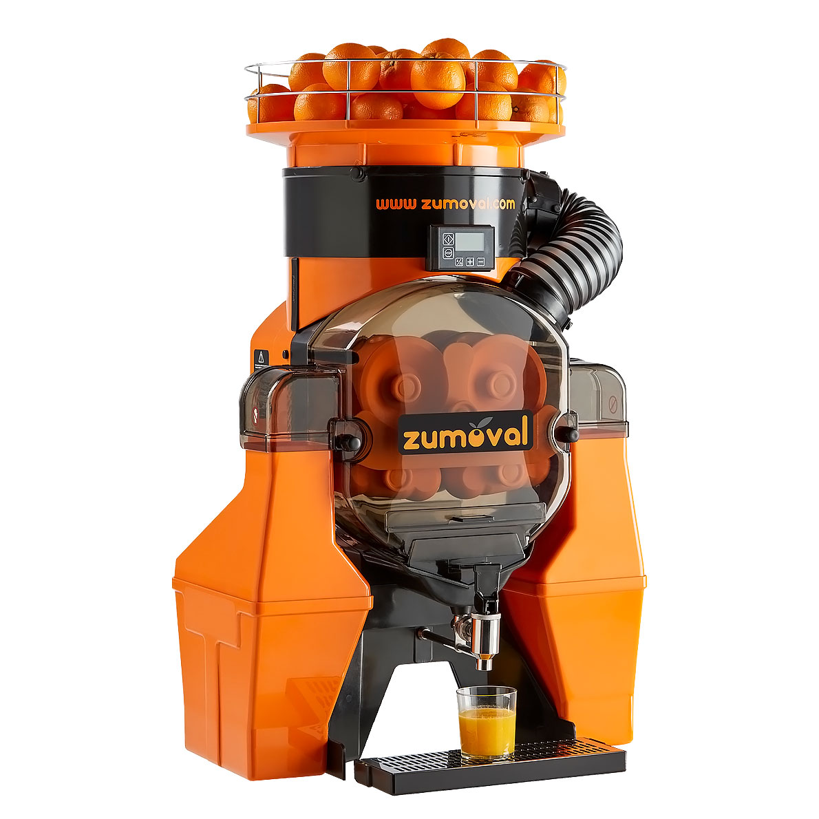 39521_39522_1-OPC-TOP-FASTTOPGSELF