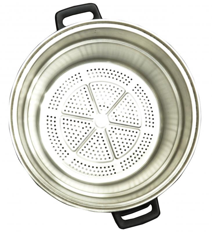 Food Steamer/Boiler with 17 L Capacity